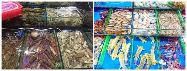 广佛西超级菜篮子扬帆起航 肇庆40亩水产批发市场盛大开业在即