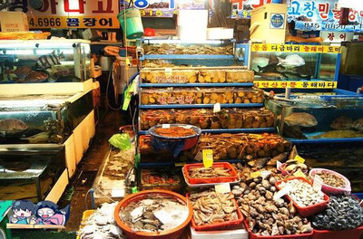 乘着地铁游韩国 6、7、8、9号线深度探秘与首尔鲜肉市场攻略