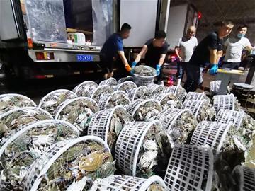 “蟹逅”青岛“C位”上桌！探访城阳水产品批发市场 每日30万斤螃蟹涌入，一日之计在于“抢鲜”