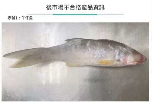 绿营“栽赃”论遭岛内医生打脸 屏东午鱼验出违规用药暴露食安隐忧