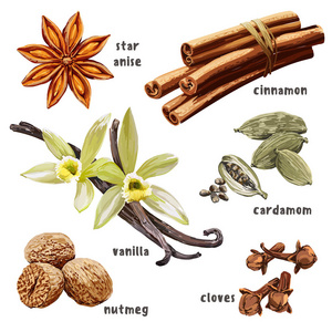 香辛料与水产品的艺术融合 手工绘制香草、豆蔻和八角的矢量图在水产品批发中的应用